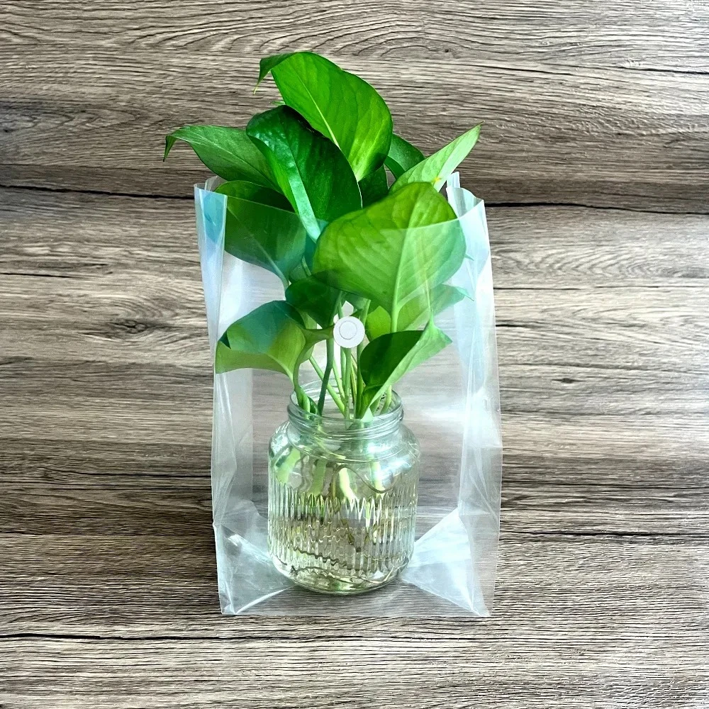 Why Do Plastic Seed Bags Need Ventilation Holes? A Complete Guide To Seed Pac...