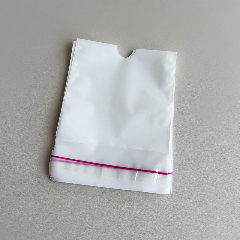 Self Adhesive Plastic Pouch